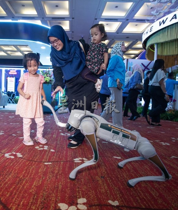 星角摄/图说大马:机械狗与机械人的世纪大战