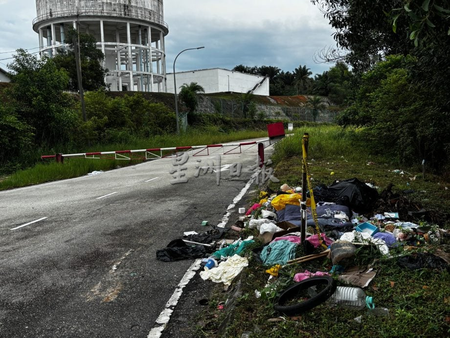 大都会:封路防垃圾虫 水塘路破功/4图