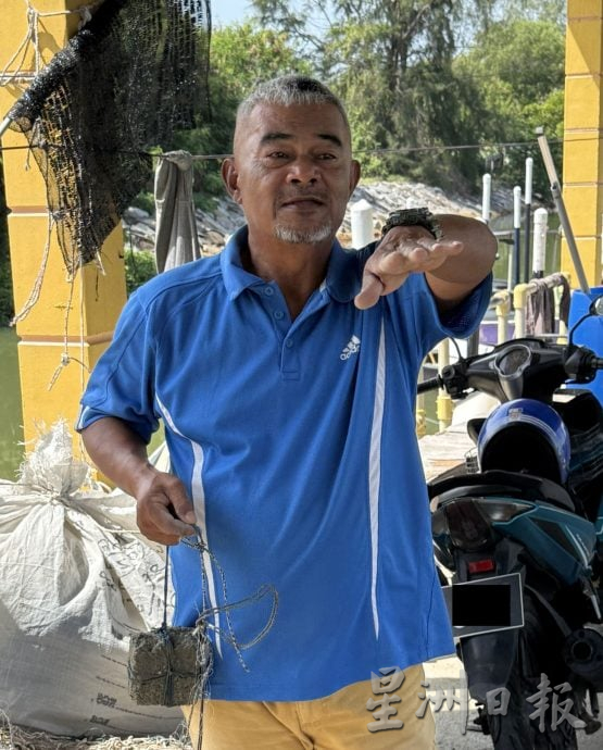 (古城封面主文)大吉里望码头鳄鱼安家多年与渔夫互不打扰 当局关注安全