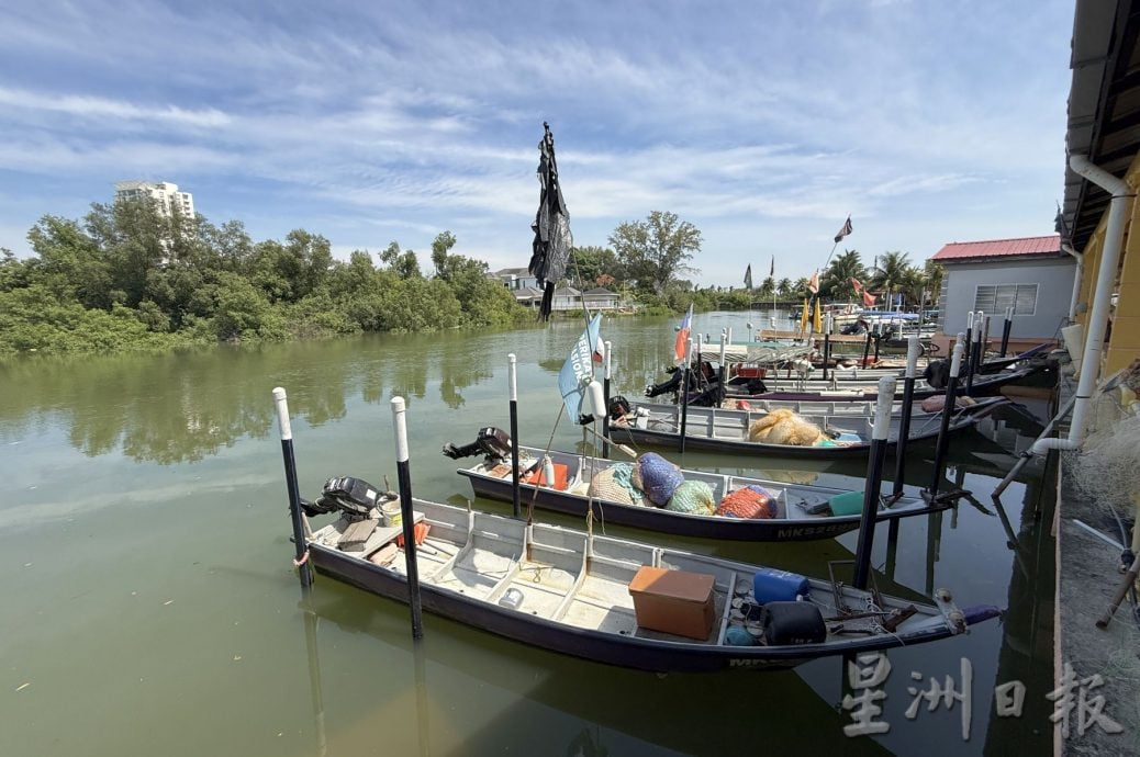 (古城封面主文)大吉里望码头鳄鱼安家多年与渔夫互不打扰 当局关注安全