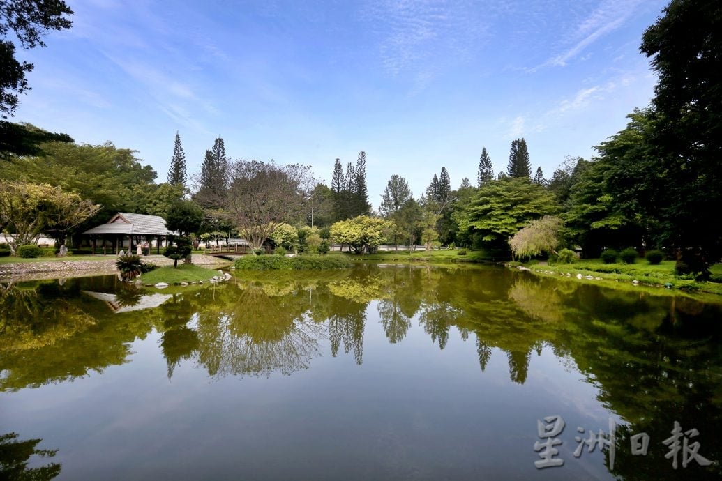 【流金岁月】/天涯何处无芳草 来DR公园赏风光