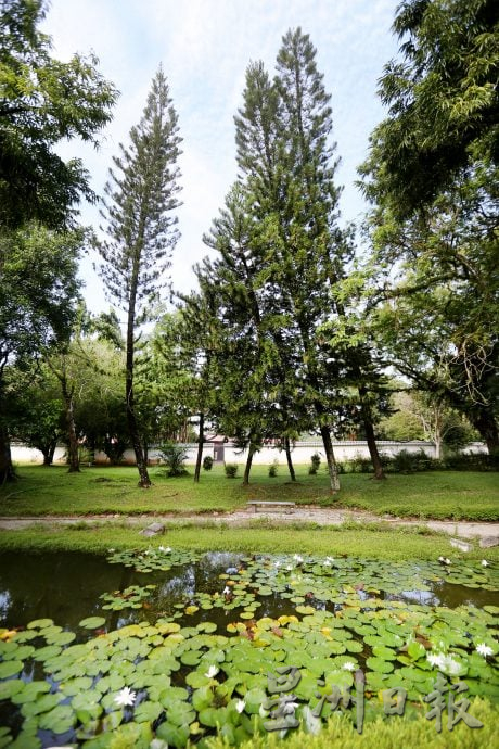 【流金岁月】/天涯何处无芳草 来DR公园赏风光