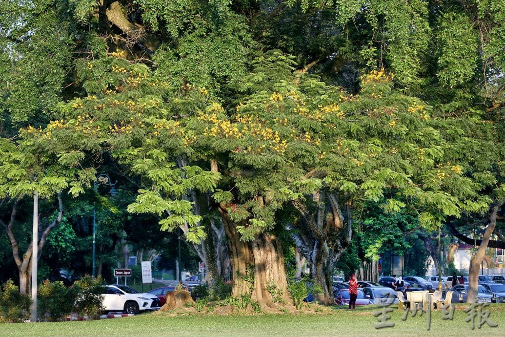 【流金岁月】/天涯何处无芳草 来DR公园赏风光