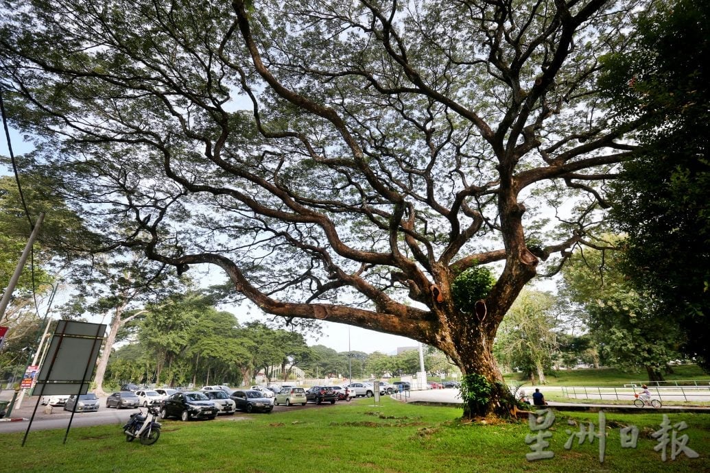 【流金岁月】/天涯何处无芳草 来DR公园赏风光