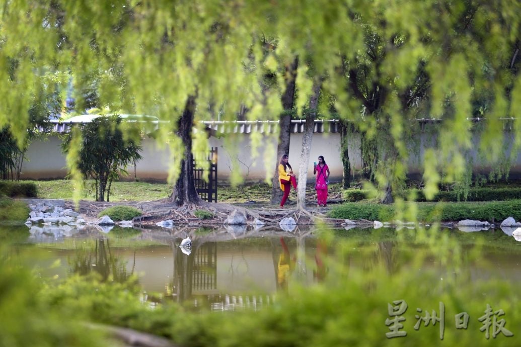 【流金岁月】/天涯何处无芳草 来DR公园赏风光