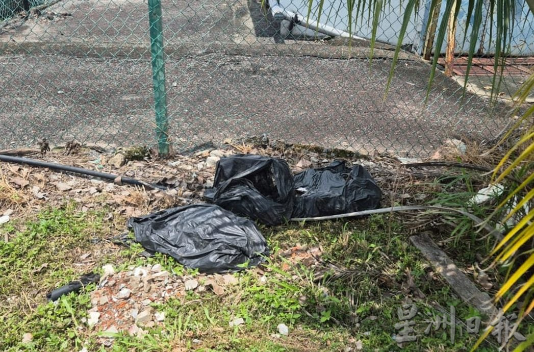 (古城第五版主文)刘志俍:蚊症下跌51%,不能松懈