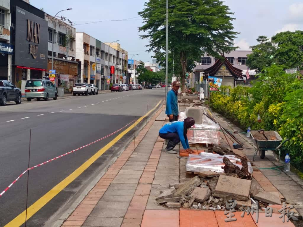 (古城封面副文)马六甲拉也人行道被树根破坏 当局派员清理树根重铺地砖
