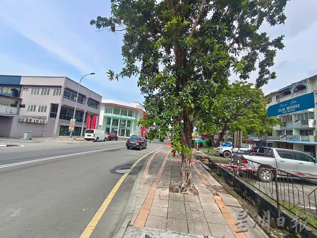 (古城封面副文)马六甲拉也人行道被树根破坏 当局派员清理树根重铺地砖