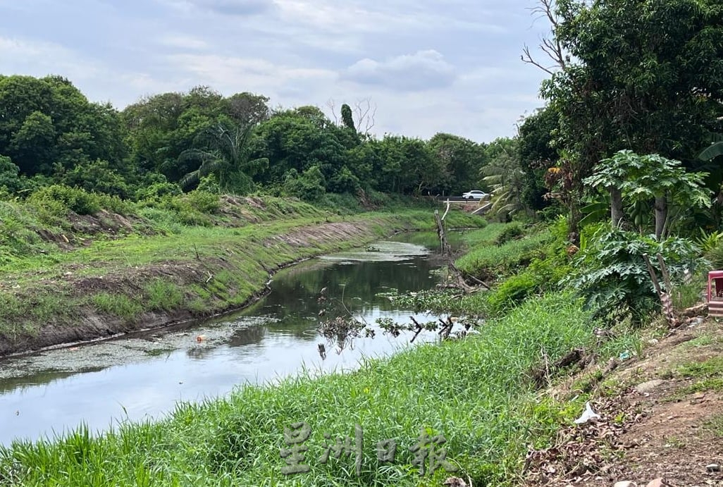 （古城封面副文）陈志成：清理排水沟浮萍与杂草，确保水流顺畅及避免野生动物潜伏