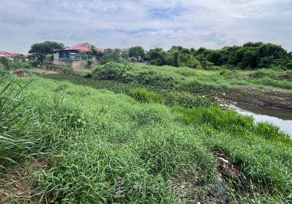 （古城封面副文）陈志成：清理排水沟浮萍与杂草，确保水流顺畅及避免野生动物潜伏