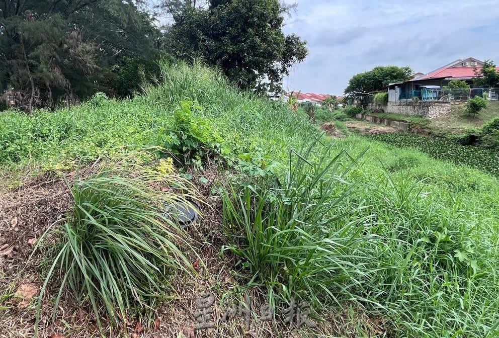 （古城封面副文）陈志成：清理排水沟浮萍与杂草，确保水流顺畅及避免野生动物潜伏
