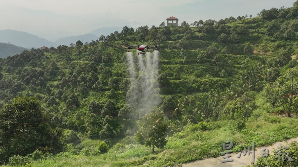 ​【AI农业/01】 智慧农业起飞 无人机真能解放双手？