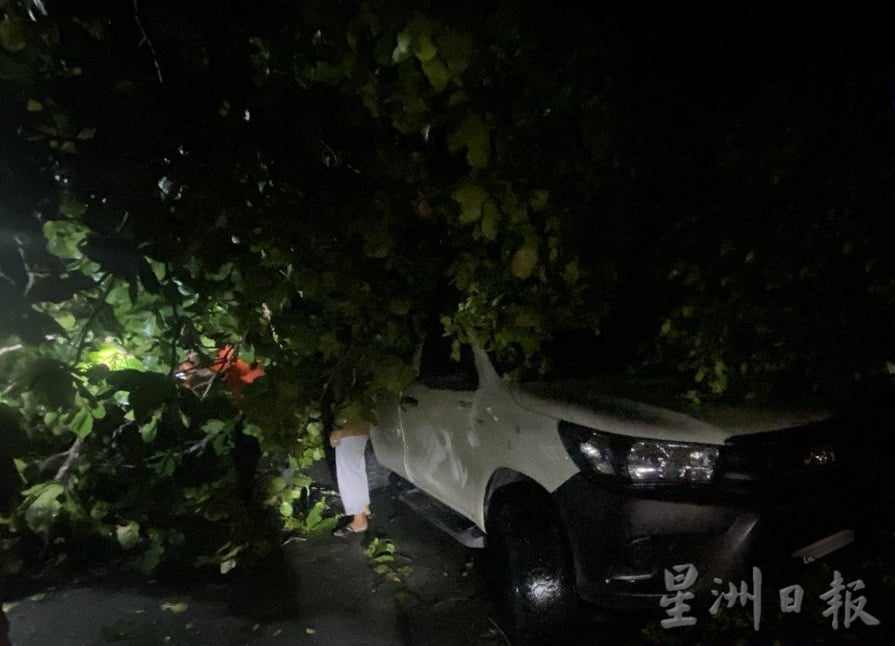 暴风雨侵袭大树倒 下霹峇眼拿督受灾