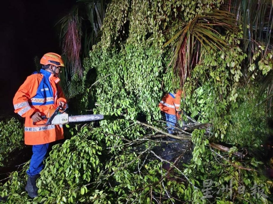 暴风雨侵袭大树倒 下霹峇眼拿督受灾
