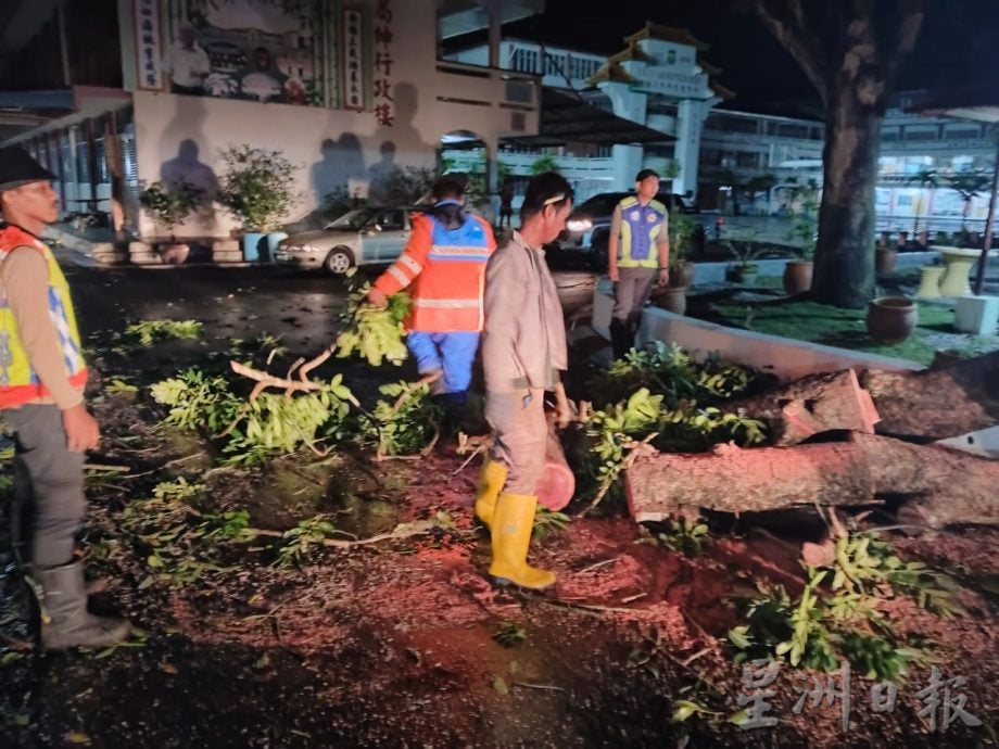 暴风雨侵袭大树倒 下霹峇眼拿督受灾