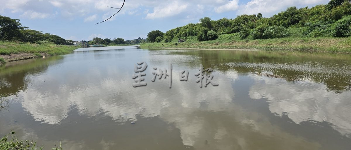 浮萍布满玛琳河,不利排水