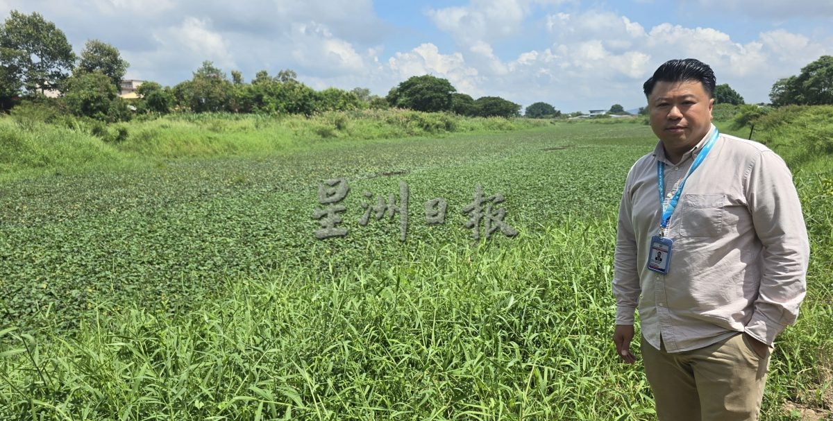 浮萍布满玛琳河,不利排水