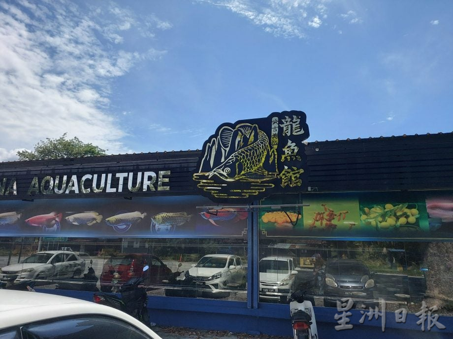 设定5pm发布(大北马)村镇记事-6 武吉美拉昔日小镇渐被遗忘 龙鱼产地 湖中鉄轨 湖镇乐园 带旺武吉美拉名气