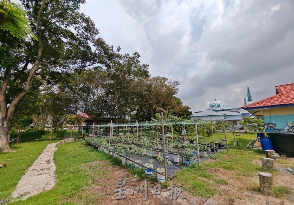 善心美事〡峇进步花园居民齐心,开辟果菜园美化社区