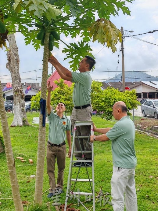 善心美事〡峇进步花园居民齐心,开辟果菜园美化社区