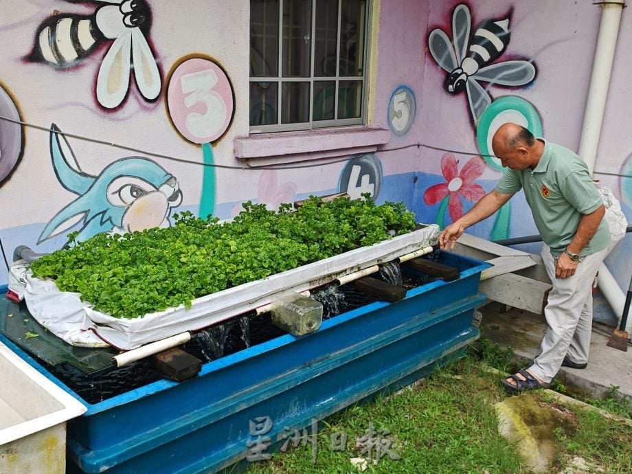 善心美事〡峇进步花园居民齐心,开辟果菜园美化社区