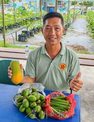 善心美事〡峇进步花园居民齐心,开辟果菜园美化社区