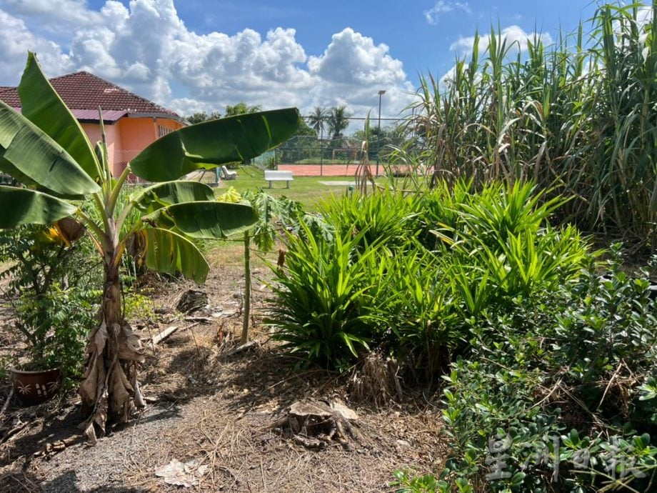 大都会（版2头）/草场遭长期私占 陷整修困局