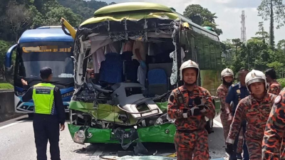 旅巴撞罗里致1死 司机否认涉毒驾驶罪名 须交出驾照护照2人保外