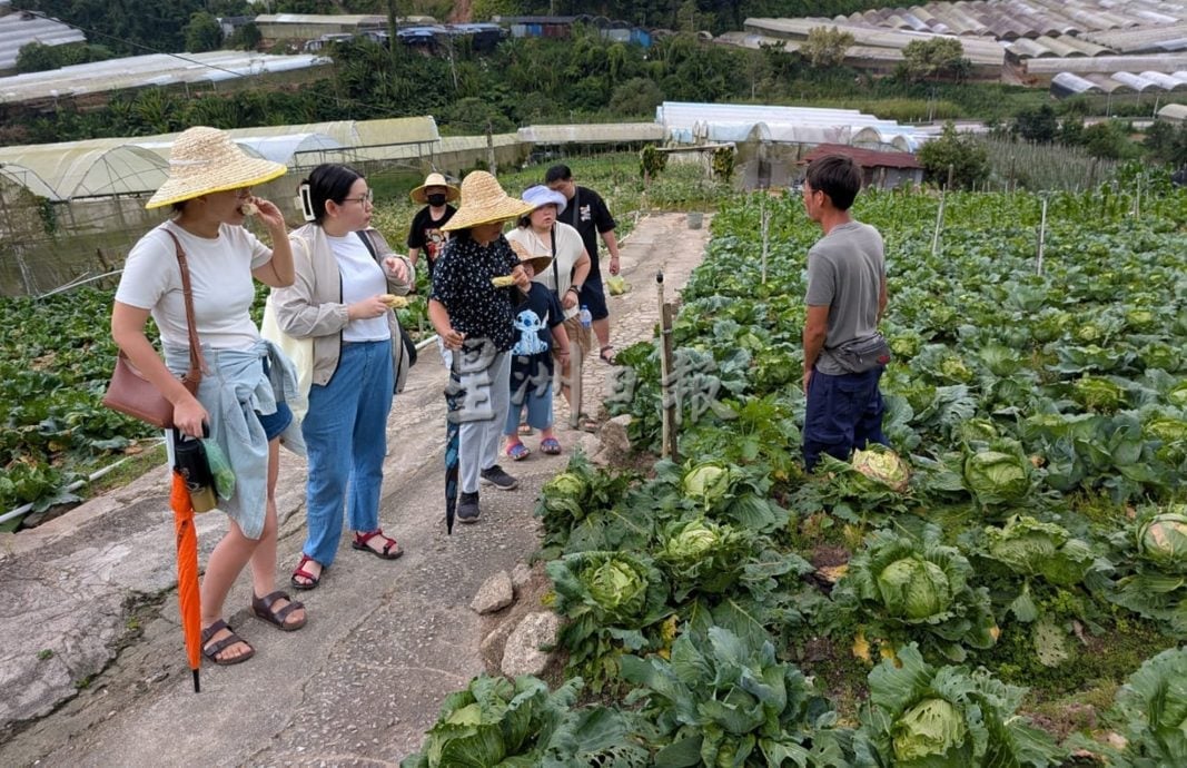 霹:第二版头∕金马仑生态蔬果乐园