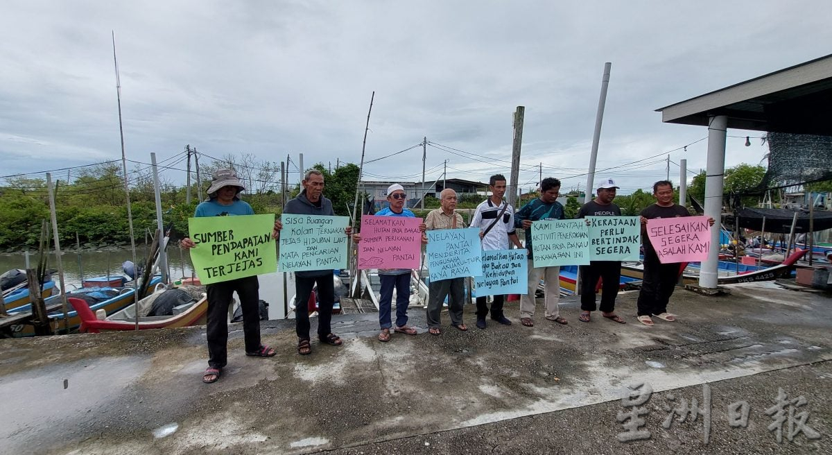 （大北马） 槟消费人协会 懮红树林区 僻养虾池 影响500渔民生计