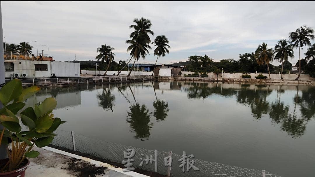 士乃昌明社区获政府拨款   “小幸湖”转型为文创休闲打卡地