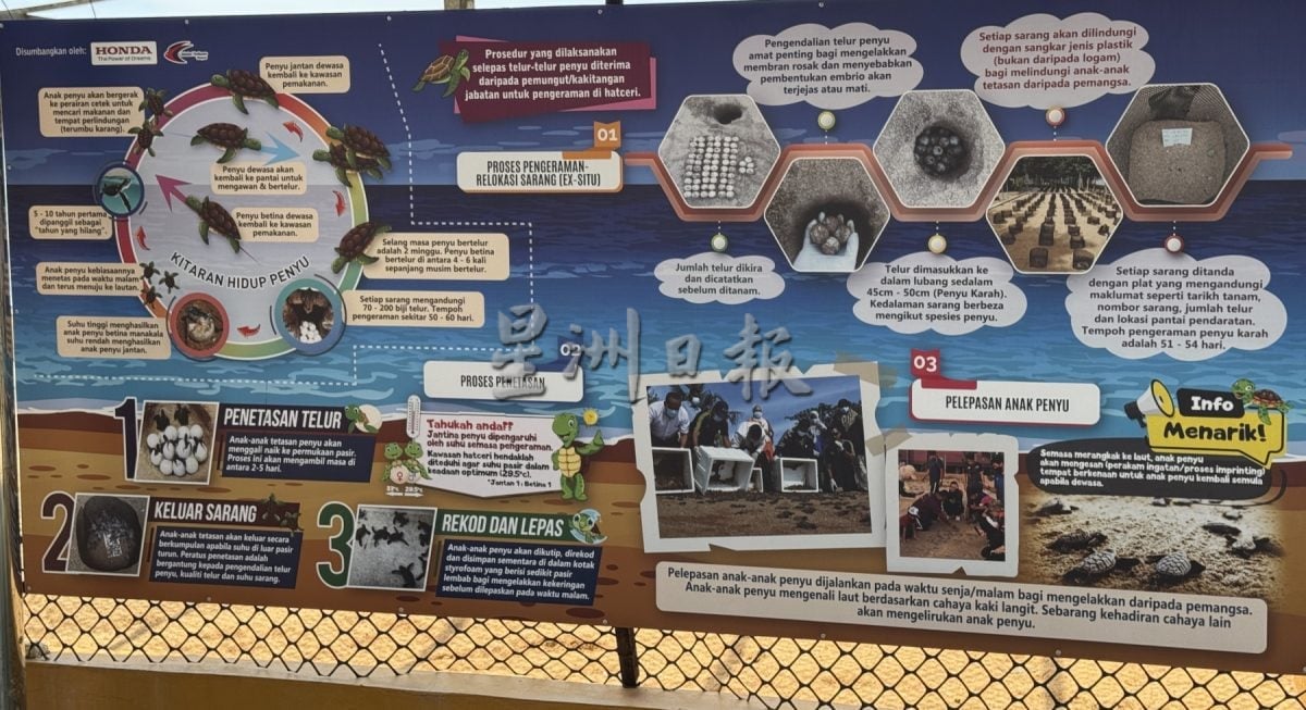 用眼睛去旅游：巴当葛慕丁海龟保育与资讯中心