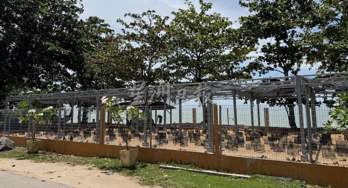 用眼睛去旅游：巴当葛慕丁海龟保育与资讯中心