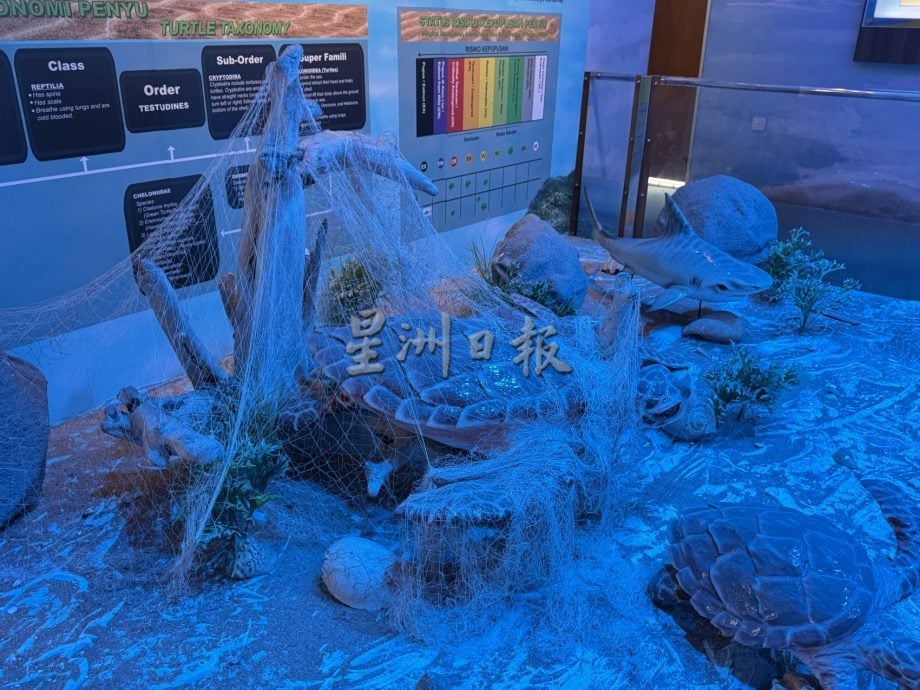 用眼睛去旅游：巴当葛慕丁海龟保育与资讯中心