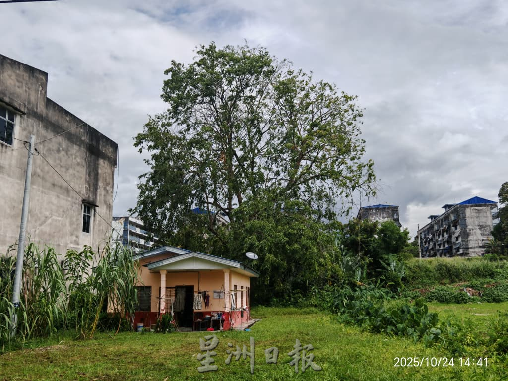 供星洲网：沉香有许多民生投诉？芙市长亲自下场，解决民生问题