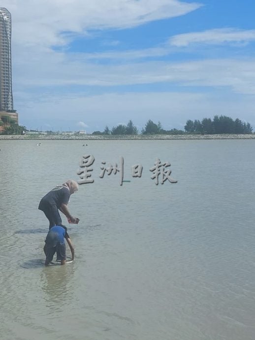 (古城封面副文)吉里望海滩捕蚶人已廖廖无几