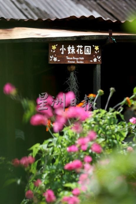 待上网: 新村美化动起来 |28日见报∕ 甲板新村活化 从老建筑文史到社区美化串连魅力