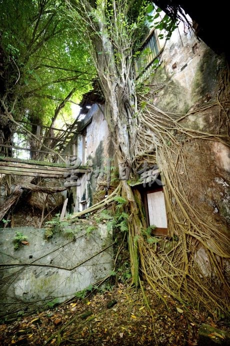 待上网: 新村美化动起来 |28日见报∕ 甲板新村活化 从老建筑文史到社区美化串连魅力
