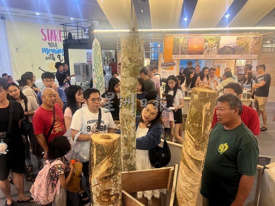 供星洲网:榕吉新村怀旧展夺目登场,橡胶树故事打动观众心