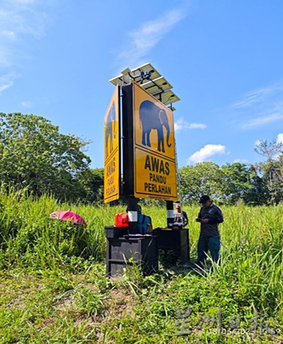 霹:封面主文∕47象群热点 15死车祸现场 郑国霖:设558太阳能路照明