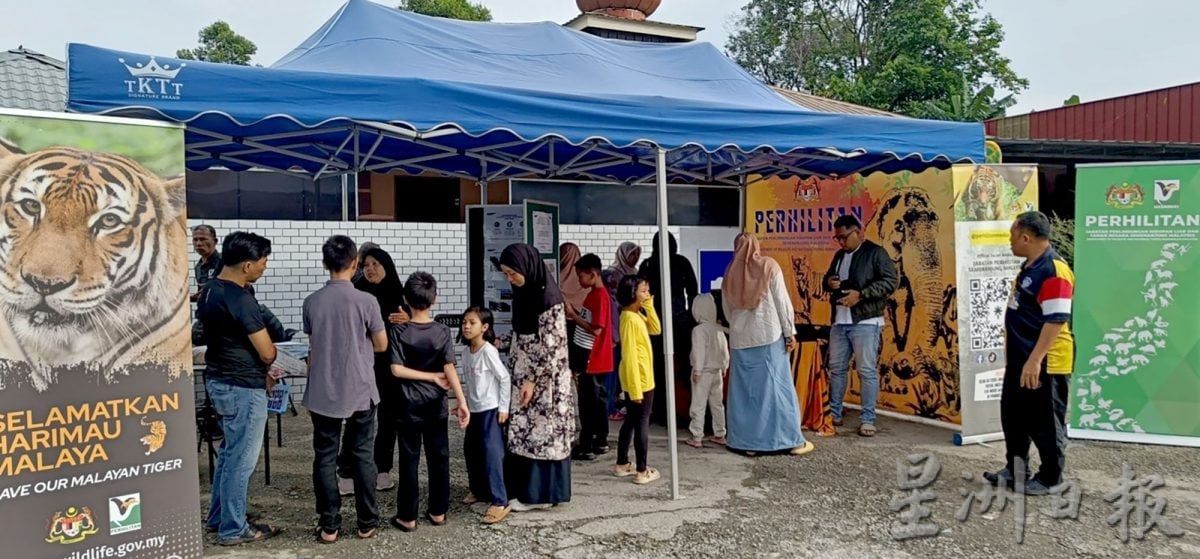 霹:封面主文∕47象群热点 15死车祸现场 郑国霖:设558太阳能路照明