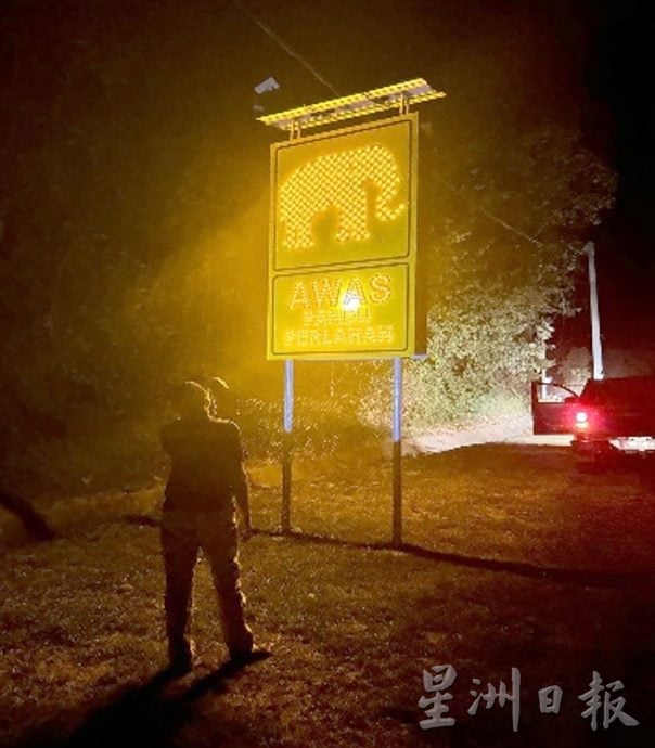 霹:封面主文∕47象群热点 15死车祸现场 郑国霖:设558太阳能路照明