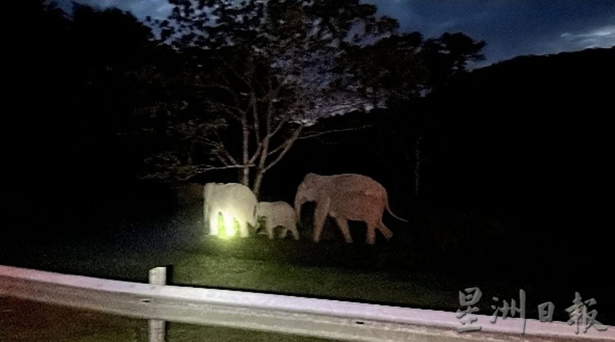 霹:封面主文∕47象群热点 15死车祸现场 郑国霖:设558太阳能路照明