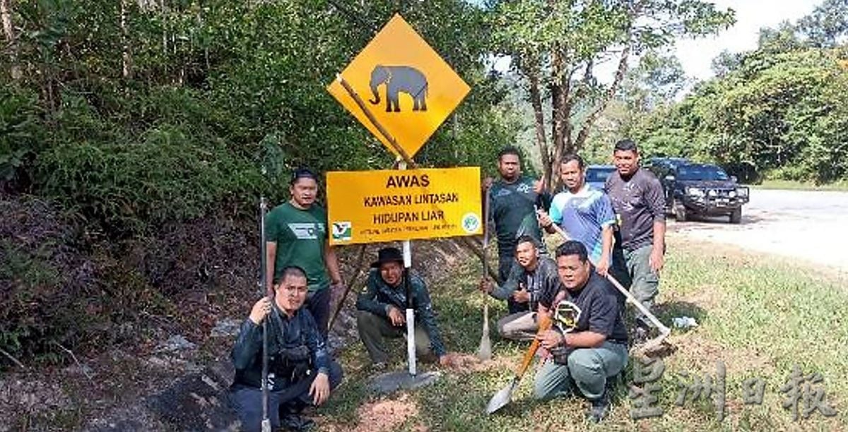 霹:封面主文∕47象群热点 15死车祸现场 郑国霖:设558太阳能路照明