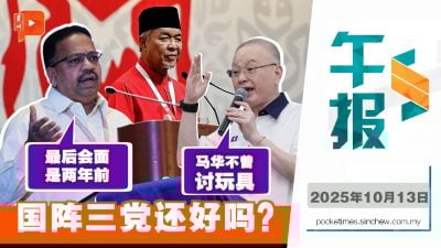扎希“玩具”论、“见面”论遭友党反驳 国阵三党还好吗？