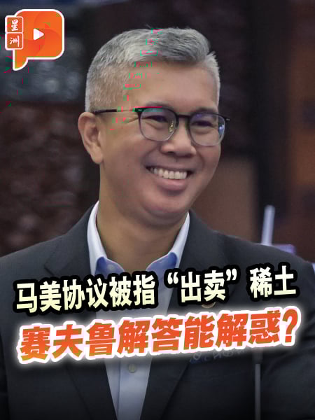 马美协议“出卖”稀土?赛夫鲁上火线解释