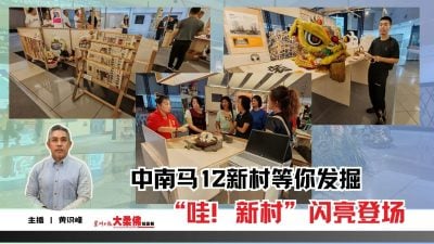 大柔佛三分钟 | “哇！新村”闪亮登场 中南马12新村等你发掘