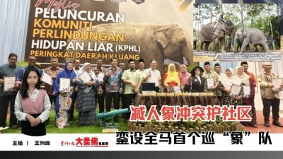 大柔佛三分钟 | 銮设全马首个巡“象”队 减人象冲突护社区