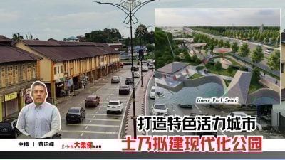 大柔佛三分钟 | 打造特色活力城市 士乃拟建现代化公园