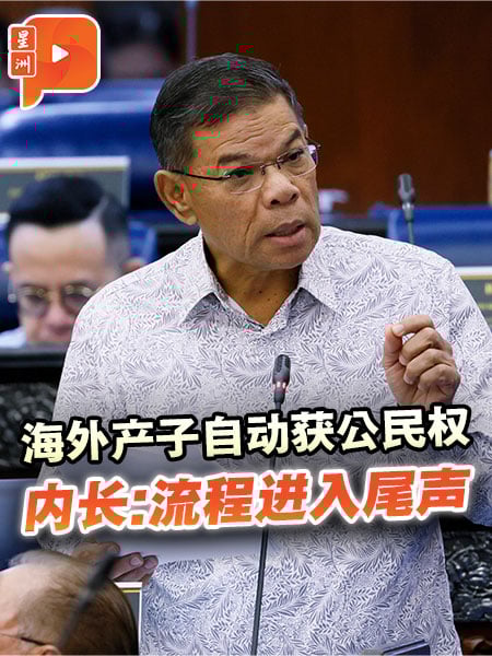 海外产子自动获公民权 内长：流程进入尾声